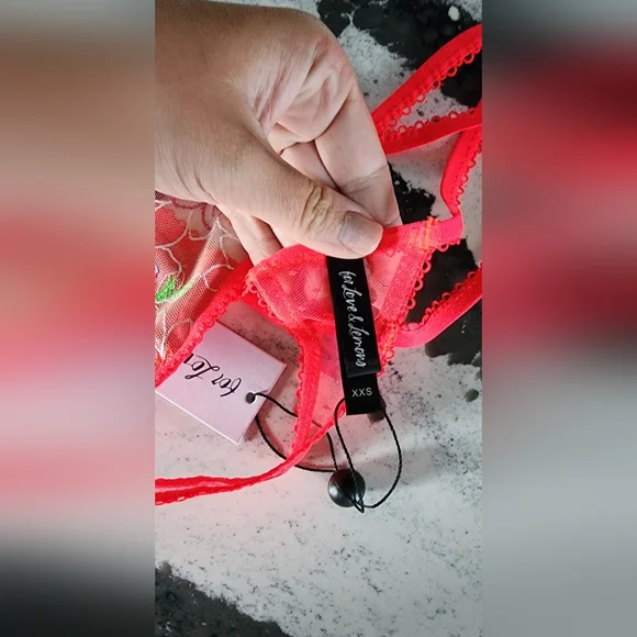 For love and lemons shimmer zinia - Picture 5 of 5